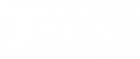 The polygon