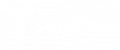 The polygon